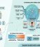 How AI Personalization Is Reshaping Digital Marketing in 2026